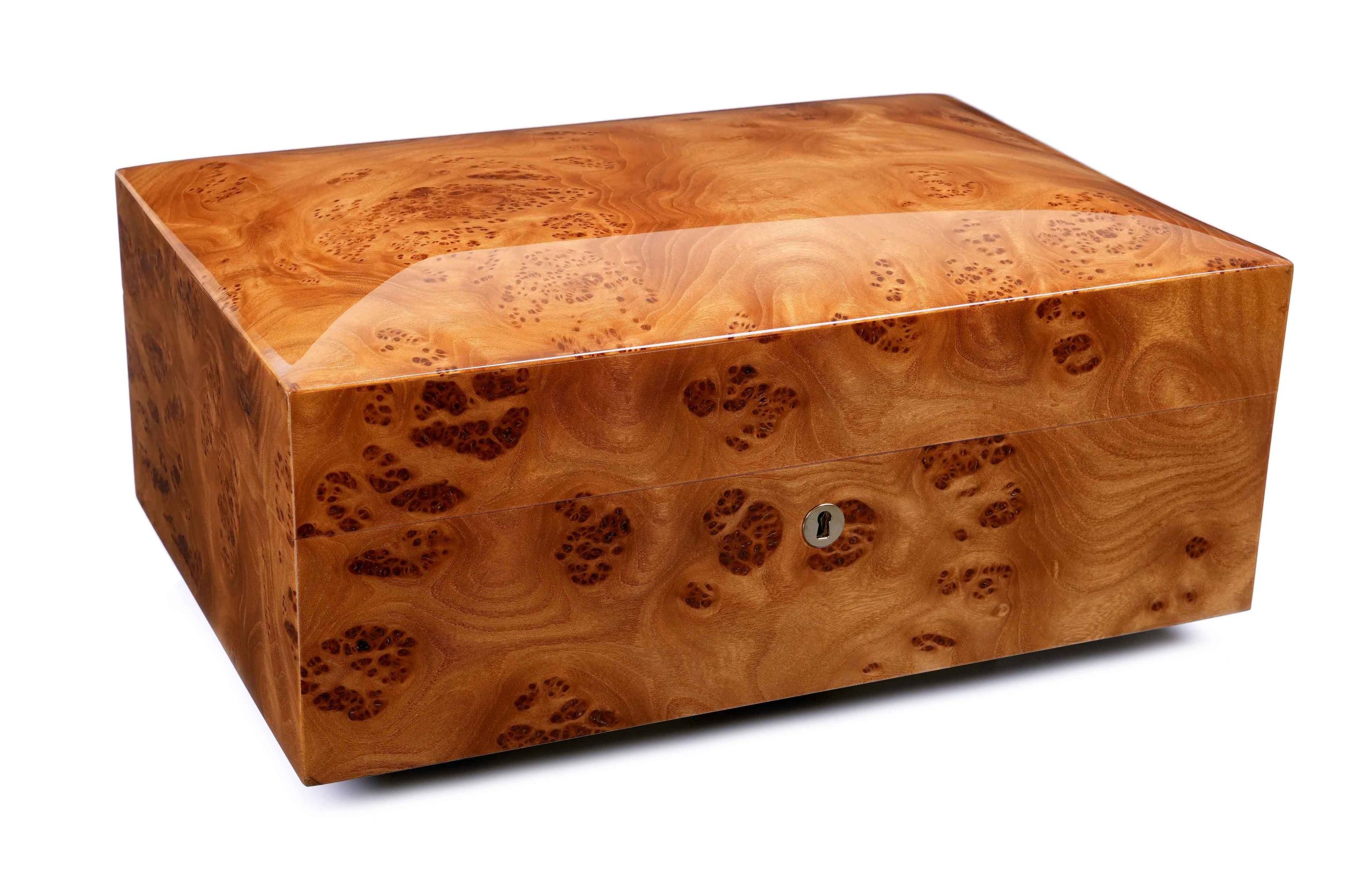 SV50-Elm Dome Top